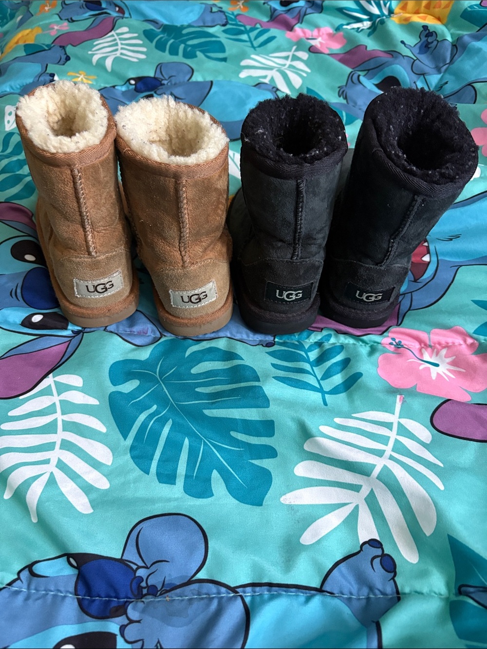 UGG Classic Short Boots - Chestnut and Black Pairs